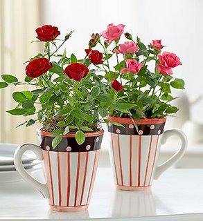 Caneca de café como vaso, com rosas