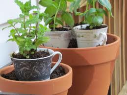 Caneca de cafe com plantas