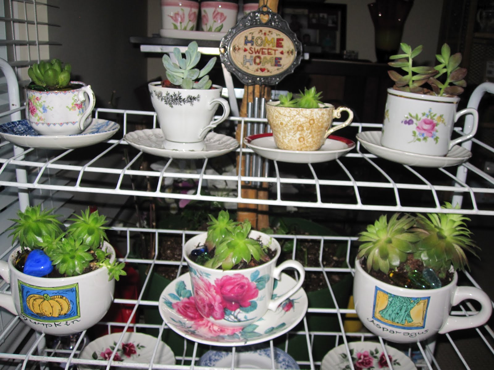 Xicara de chá com plantas a fazer de vaso
