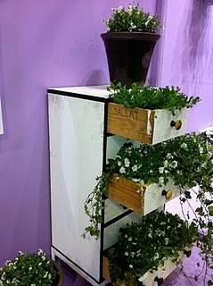 Movel com plantas nas gavetas